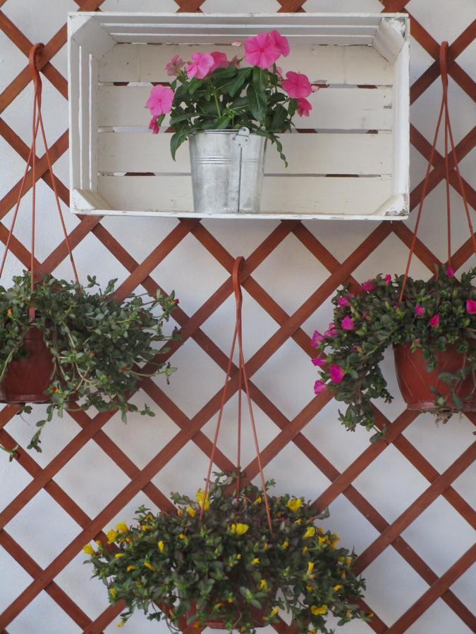 Playa Dei Turchi Bed & Breakfast เรอัลมอนเต ภายนอก รูปภาพ